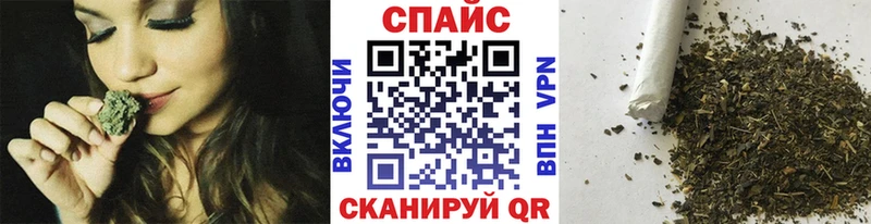 Купить где Новозыбков Бутират BDO