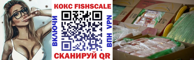 Купить закладки  Новозыбков  Кокаин FishScale 