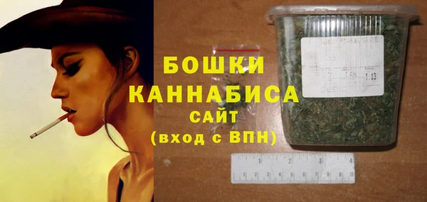 тгк Касимов