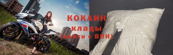 тгк Касимов