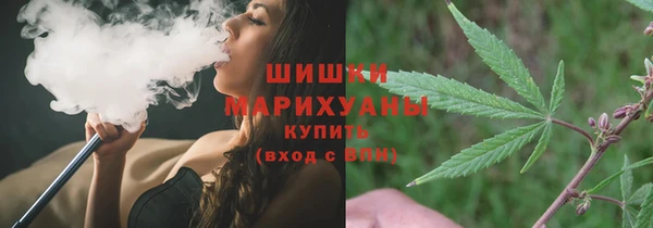 тгк Касимов